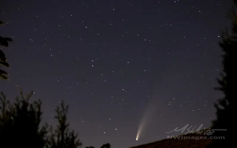 Seattle Arts — event image