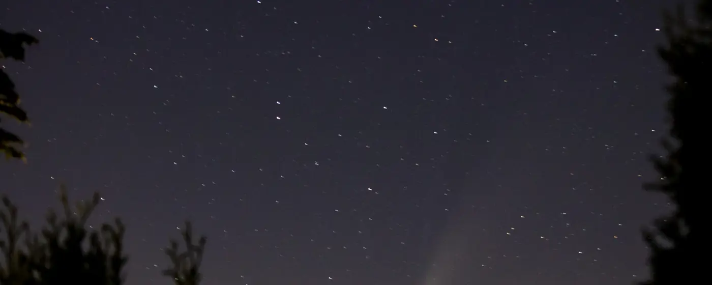 Seattle Arts — event graphic